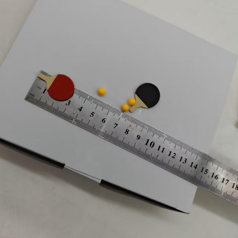 1Set Poppenhuis Miniatuur Ping - Table Tennis Olympics recensie en prijs